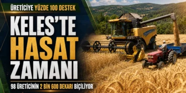 Keles'te yüzde 100 destekli buğday hasadı