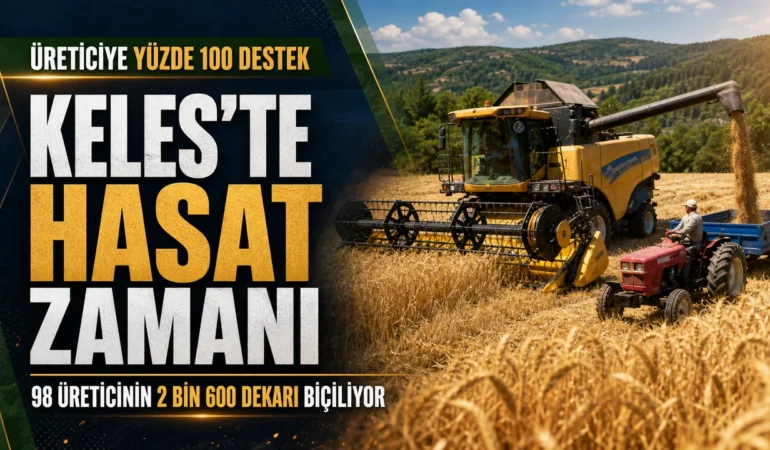 Keles'te yüzde 100 destekli buğday hasadı