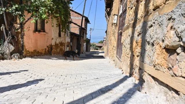 37672_MTZhOTE0Yj_6