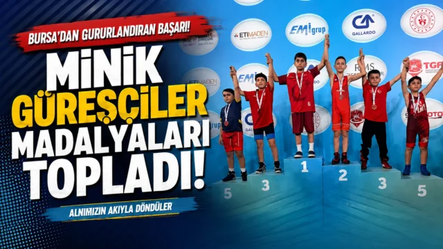 3aae6f0e-1823-481f-9c18-c0633f33734f