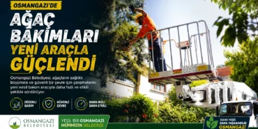 ChatGPT Image 5 Ağu 2026 20_18_55