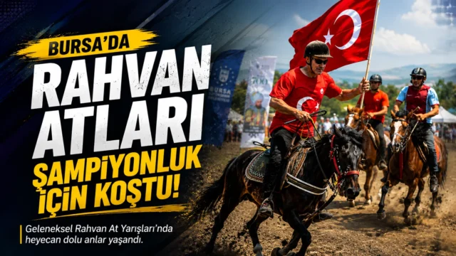ChatGPT Image 9 Ağu 2026 18_37_02