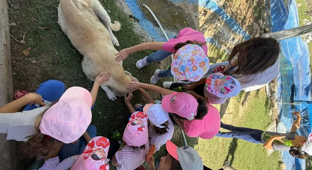 Bursa’da Çocuklar Can Dostlarla Sevgi ve Sorumluluğu Öğrendi