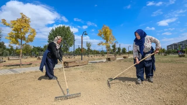 Soğanlı Millet Parkı çimleme çalışması