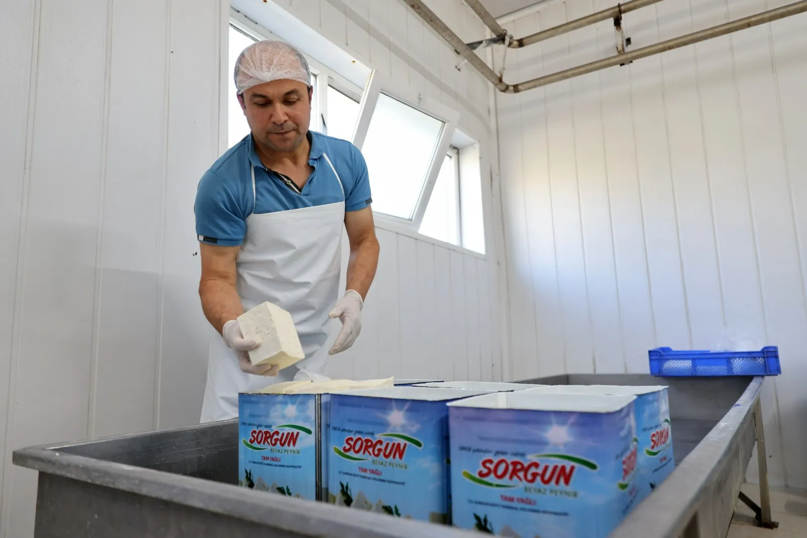 Keles Sorgun peyniri üretimi